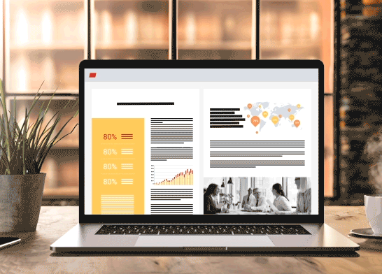 Standard, Professional & PRO+OCR Editions